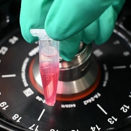 生物实验必备:样品前处理“稳、准、快”