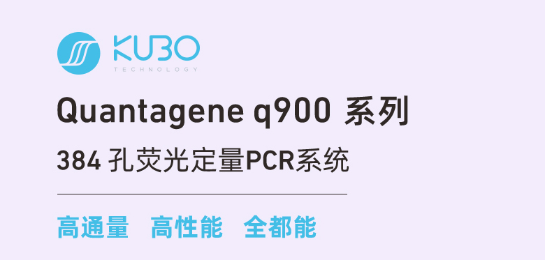 384孔荧光定量PCR系统