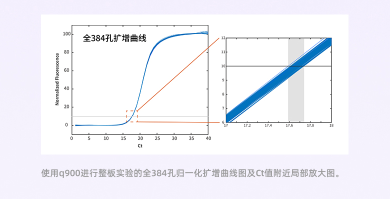 实验结果