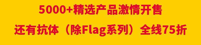 全线75折