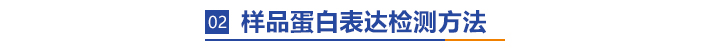 样品蛋白表达检测方法