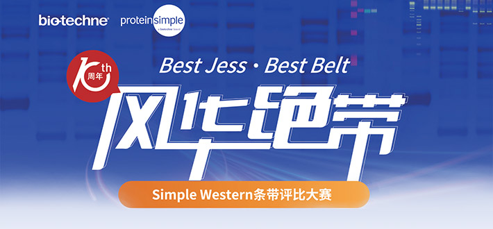 条带评比大赛
