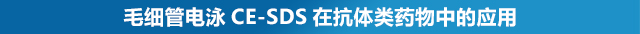 毛细管电泳CE-SDS在抗体类药物中的应用