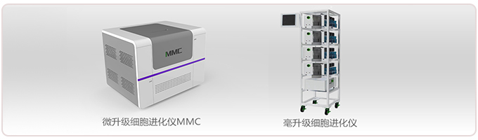 微生物适应性进化系统