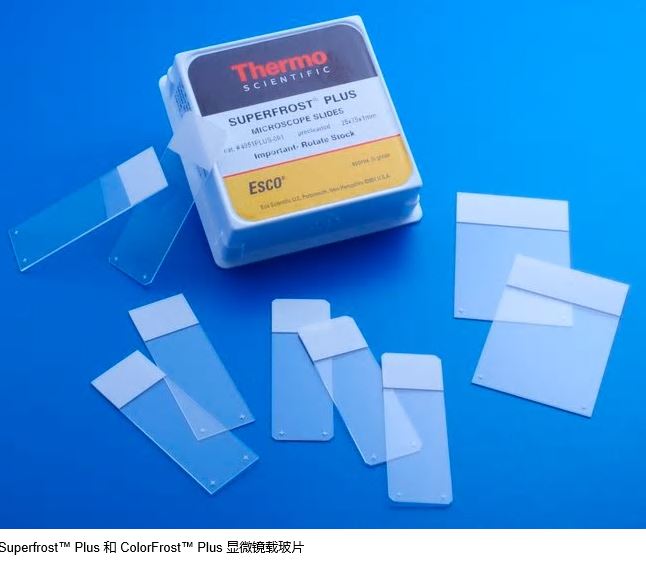 Thermo免疫组化防脱/粘附载玻片4951Plus--性能参数，报价/价格，图片_ 