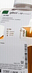 Bovine Serum ����̥ţѪ��