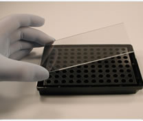 ΢���ζ��� ProPlate Microtiter Plates