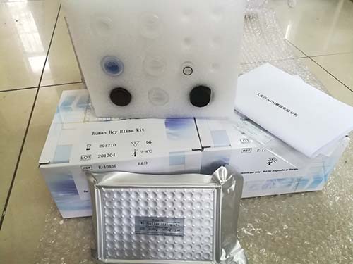 172152-53-3, 上海一基,性能参数，报价/价格，图片_生物器材网