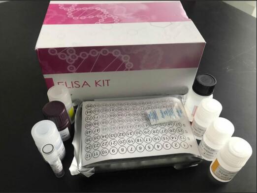 Cyclin-D3多少钱_报价/价格/性能参数/图, 进口、国产_生物器材网