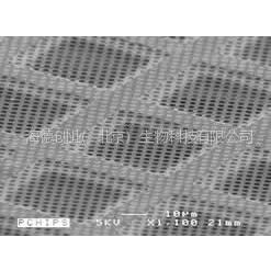 Quantifoil�п׶�������֧��Ĥ