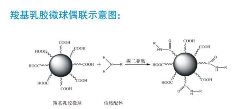 乳胶微球_报价/价格/性能参数/图, COSTONES_生物器材网