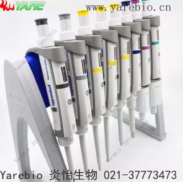 ������Research plus������Һ��