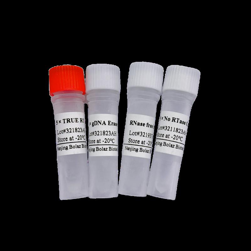 TRUE script RT-PCR （+gDNA Eraser）_报价/价格/性能参数/图, 苏州-博雷兹_生物器材网