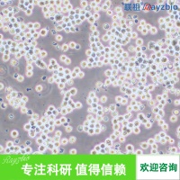 �˷�ʪ�Թؽڻ�Ĥ����άϸ��������