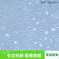 ��ԭ������Ĥ��ϸ��������