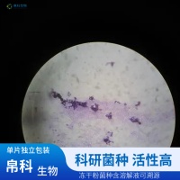 白腐菌_报价/价格/性能参数/图, 帛科_生物器材网