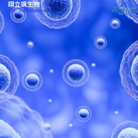 С���Զ���Ѫ����Ƥϸ��