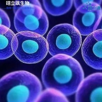 С����΢Ѫ����Ƥϸ��