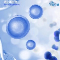 С��������Ƥϸ��