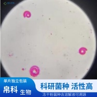 ������˾�������������