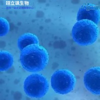 С�����������ν���ϸ��