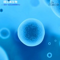 ����DRG��Ԫϸ��