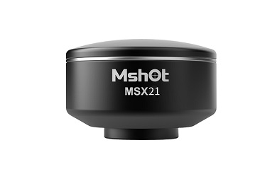 ���м���΢�����MSX21