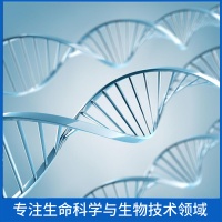 Human Proenkephalin-A protein