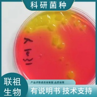 ����ù
