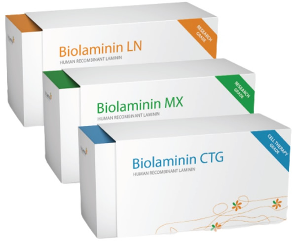 BioLamina人重组层粘连蛋白521MX521-0501_报价/价格/性能参数/图, BioLamina_生物器材网