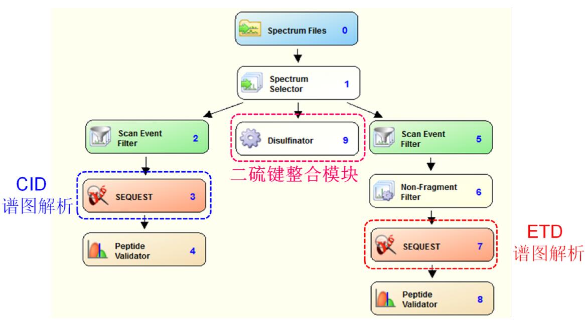 ETD-triggered CID 方法应用于融合蛋白的二硫键分析_生物器材网