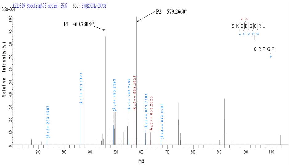 ETD-triggered CID 方法应用于融合蛋白的二硫键分析_生物器材网
