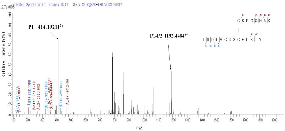 ETD-triggered CID 方法应用于融合蛋白的二硫键分析_生物器材网