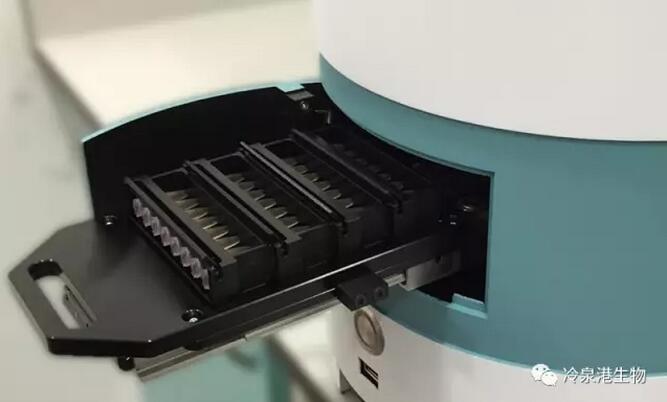 pcr管是什么更快，更稳，更准确！第二代数字PCR——管内芯片式数字PCR仪特点及优势简介_https://www.jmylbn.com_新闻资讯_第3张