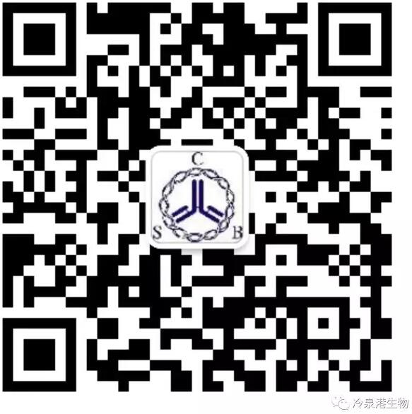 pcr管是什么更快，更稳，更准确！第二代数字PCR——管内芯片式数字PCR仪特点及优势简介_https://www.jmylbn.com_新闻资讯_第4张