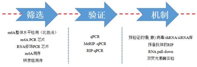 ����������ڶ����ṩRNA���β���һվʽ����