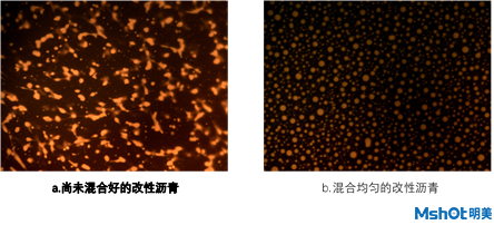荧光显微镜