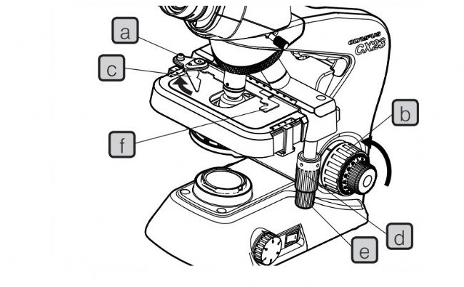 奥林巴斯olympus显微镜CX23的使用方法文档