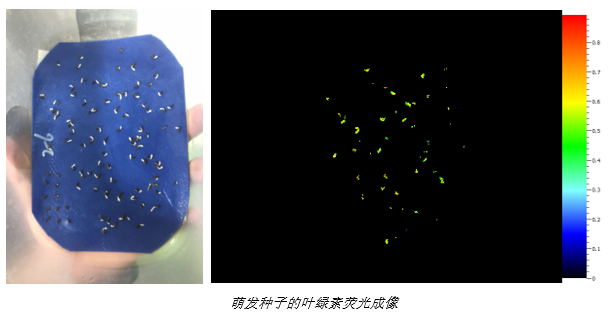 PhenoTron®种子活力综合检测平台落户农业农村部蔬菜种子质量检验测试中心