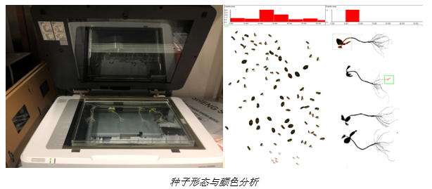 PhenoTron®种子活力综合检测平台落户农业农村部蔬菜种子质量检验测试中心