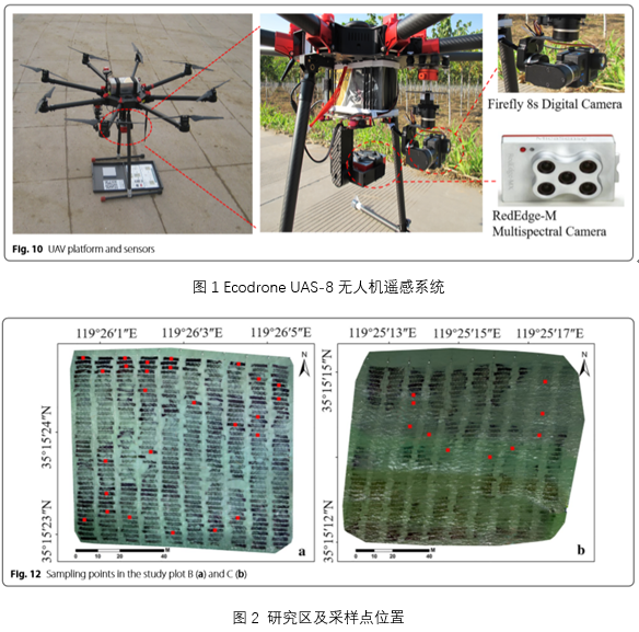 Ecodrone®遥感技术用于紫菜生物量快速评估