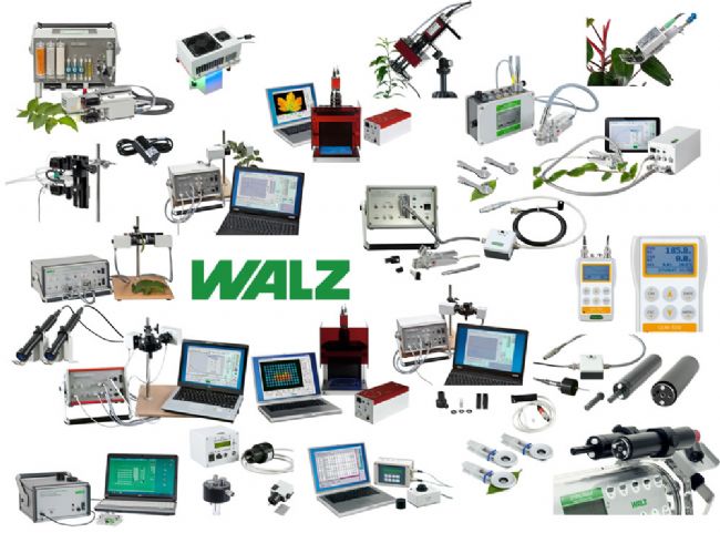 WALZ��ƷͼƬ1000.jpg