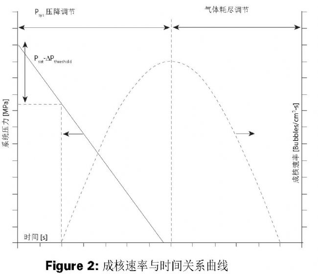 Teledyne ISCO 柱塞泵在塑料发泡模拟系统中的应用_生物器材网