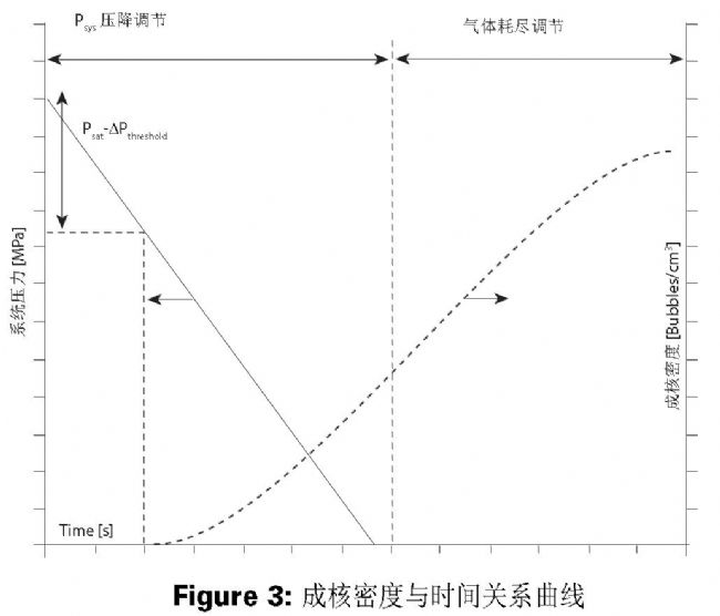 Teledyne ISCO 柱塞泵在塑料发泡模拟系统中的应用_生物器材网