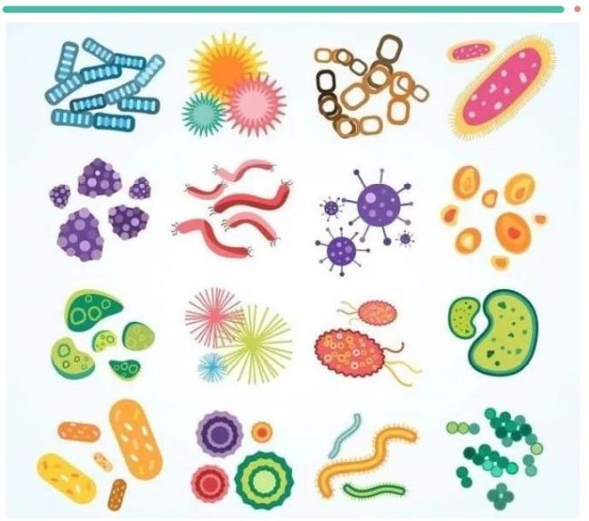 数字PCR在病原微生物检测不可不知的操作技巧_生物器材网