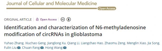 ����1������ĸϸ����circRNA m6A���α�����