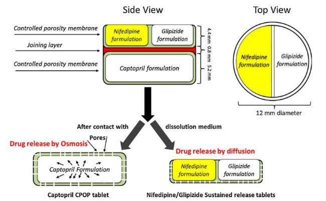 生物3D打印应用:缓释复合成分药片_生物器材网