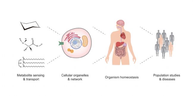 Cell Metabolism | 中国代谢研究：现在与未来_生物器材网