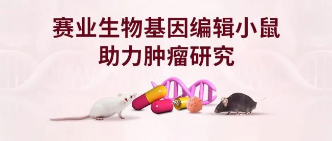 赛业生物基因编辑小鼠助力肿瘤研究