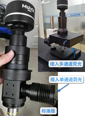 单筒荧光显微镜自由选配.jpg
